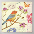 Search for birds bees posters Animals