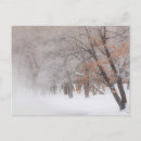 Search for danita delimont postcards Misty