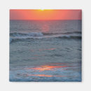 Search for feature magnets Seashore