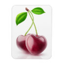 Search for two heart magnets Valentine