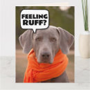 Search for dog get well cards Friend