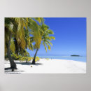 Search for seclude posters White