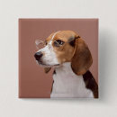 Search for beagle badges Domestic animals