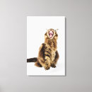 Search for classic canvas prints Nature