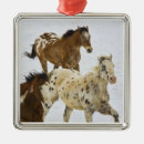 Search for action christmas tree decorations Animal