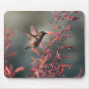 Search for ruby throated mousepads Nature
