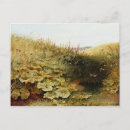 Search for quiet postcards Stream