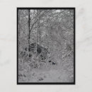 Search for cabin crew photography Woods