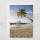 Search for beach hut cards Palm tree