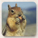Search for feed barware Eating