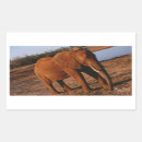 Search for large mammal stickers Africa