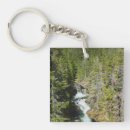 Search for waterfall square key rings National park