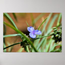 Search for stamen posters Garden