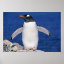 Search for remote paint posters Wild