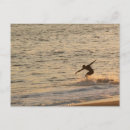 Search for surfers postcards Waves