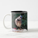 Search for mockingbird mugs Birds