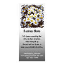 Search for blossoming rack cards Nature