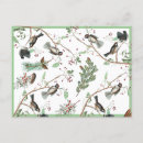 Search for chickadee postcards Nature