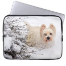 Search for westies electronics West highland white terrier