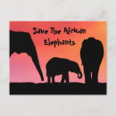 Search for elephant silhouette postcards Africa