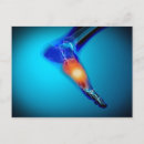 Search for conceptus postcards Blue