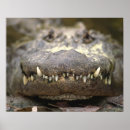 Search for americanism posters Smiling
