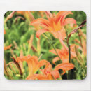 Search for tiger lily mousepads Flowers