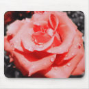 Search for summer wedding electronics Floral