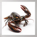 Search for marine creatures posters Crustacean