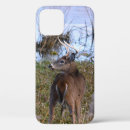 Search for animal pictures iphone cases Wildlife photography