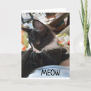 Search for girls 11th birthday cards Eleven