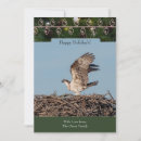 Search for osprey bird cards Raptor