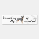 Search for acd bumper stickers Australian cattle dog
