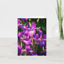 Search for iris flower note cards Floral