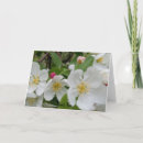 Search for park cards invites Flowers