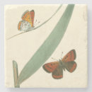 Search for butterfly coasters Colourful