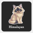 Search for himalayan stickers Cat