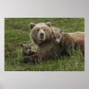 Search for cuddle posters Bear
