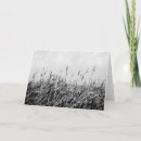 Search for dune cards Photography