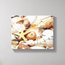 Search for seashell canvas prints Star fish