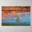 Search for misty posters Orange