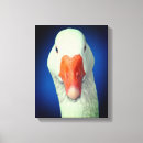 Search for farm animals canvas prints Cute