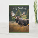 Search for moose cards Nature