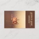 Search for spiderweb business cards Insect