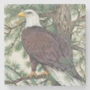 Search for tree leaf coasters Leaves