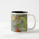 Search for baltimore oriole mugs Orange