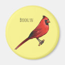 Search for cardinal bird magnets Cardinalis cardinalis