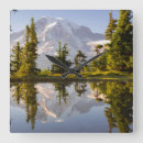 Search for mirror clocks Nature