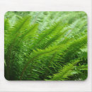 Search for fern leaf mousepads Nature
