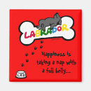 Search for belly square magnets Cute